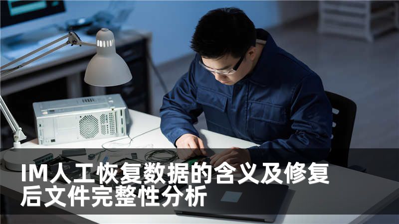IM人工恢复数据的含义及修复后文件完整性分析