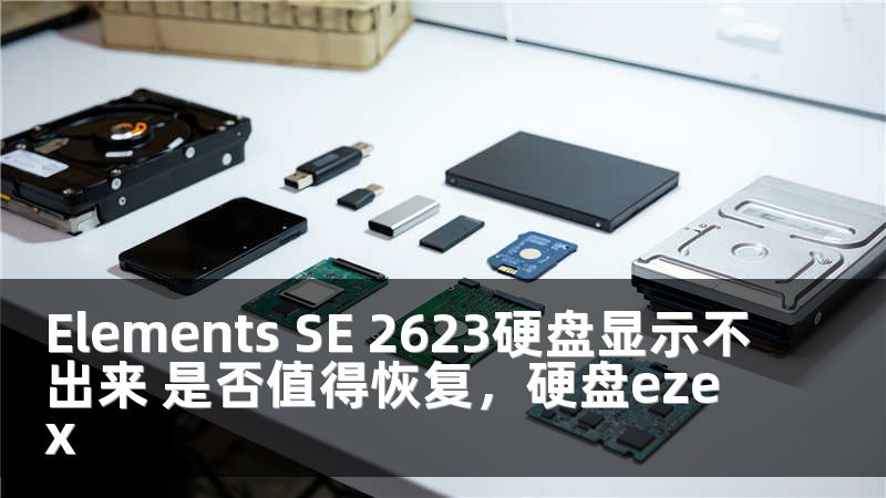 Elements SE 2623硬盘显示不出来 是否值得恢复，硬盘ezex