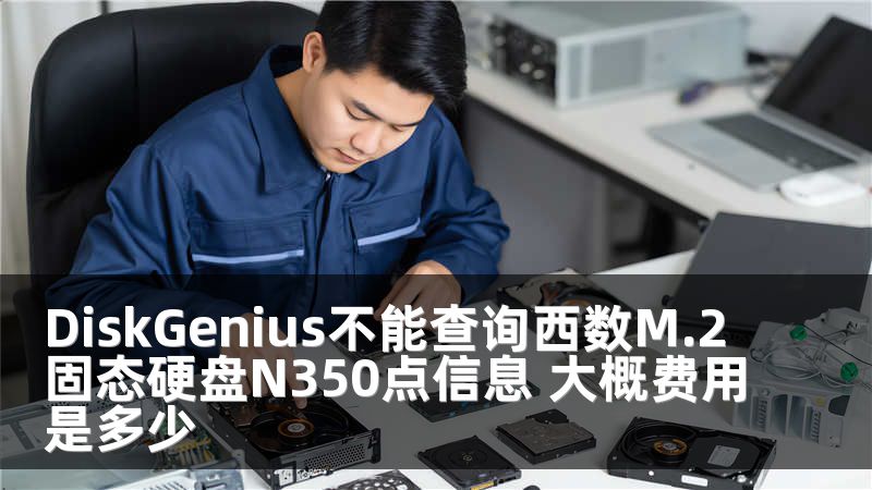 DiskGenius不能查询西数M.2固态硬盘N350点信息 大概费用是多少