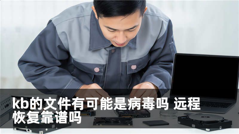 kb的文件有可能是病毒吗 远程恢复靠谱吗