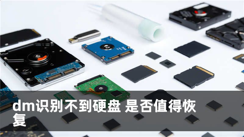 dm识别不到硬盘 是否值得恢复