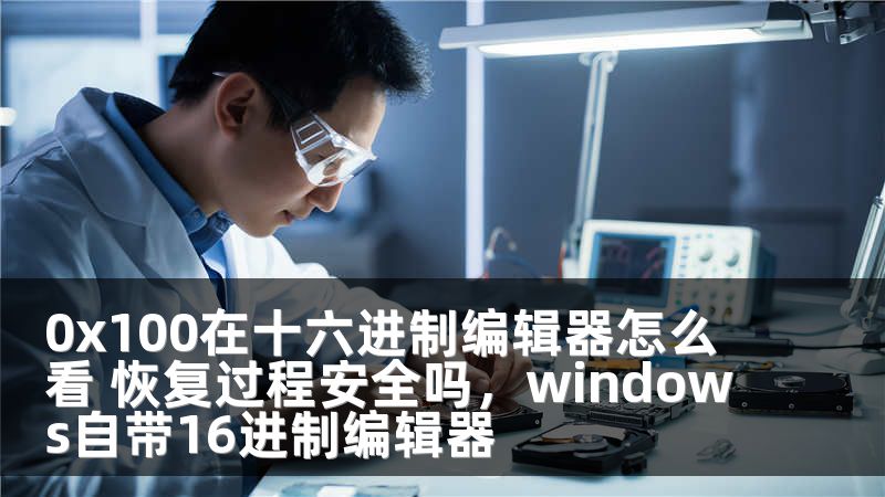 0x100在十六进制编辑器怎么看 恢复过程安全吗，windows自带16进制编辑器