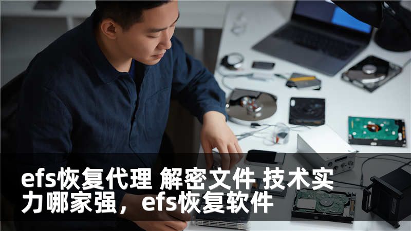 efs恢复代理 解密文件 技术实力哪家强，efs恢复软件