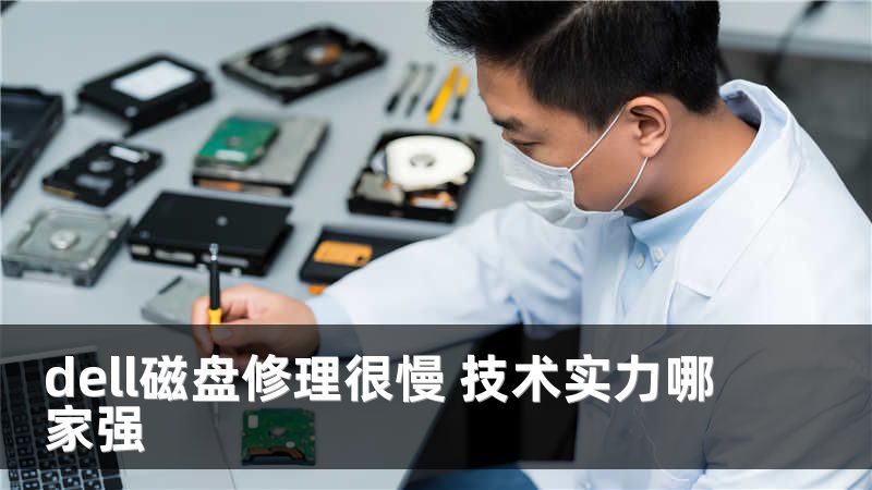 dell磁盘修理很慢 技术实力哪家强