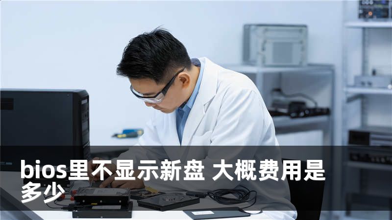 bios里不显示新盘 大概费用是多少