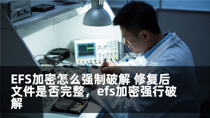 EFS加密怎么强制破解 修复后文件是否完整，efs加密强行破解