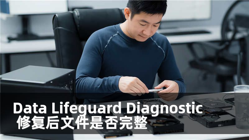 Data Lifeguard Diagnostic 修复后文件是否完整