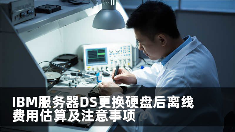 IBM服务器DS更换硬盘后离线费用估算及注意事项