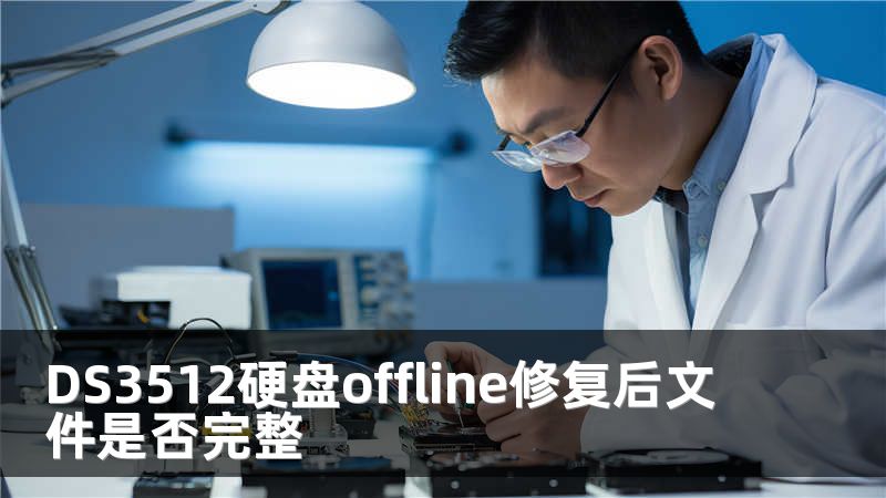 DS3512硬盘offline修复后文件是否完整