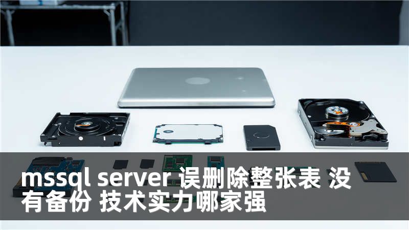 mssql server 误删除整张表 没有备份 技术实力哪家强