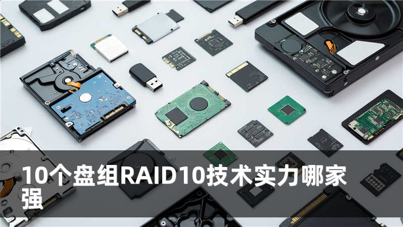 10个盘组RAID10技术实力哪家强
