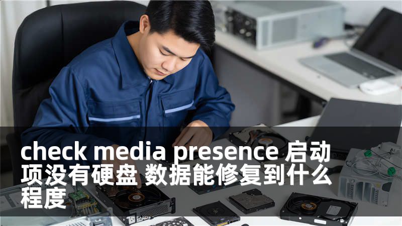 check media presence 启动项没有硬盘 数据能修复到什么程度