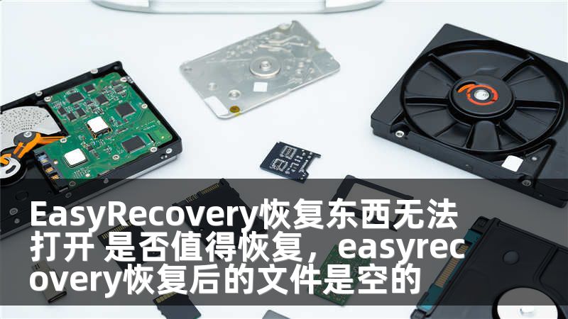 EasyRecovery恢复东西无法打开 是否值得恢复，easyrecovery恢复后的文件是空的