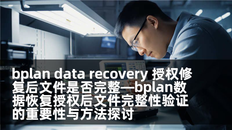 bplan data recovery 授权修复后文件是否完整—bplan数据恢复授权后文件完整性验证的重要性与方法探讨