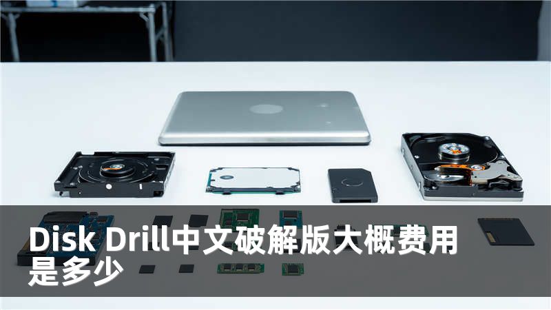 Disk Drill中文破解版大概费用是多少