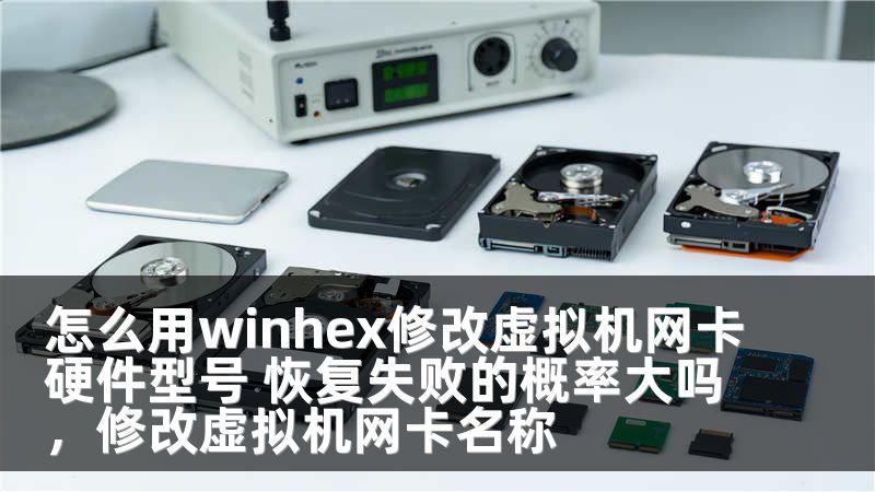 怎么用winhex修改虚拟机网卡硬件型号 恢复失败的概率大吗，修改虚拟机网卡名称