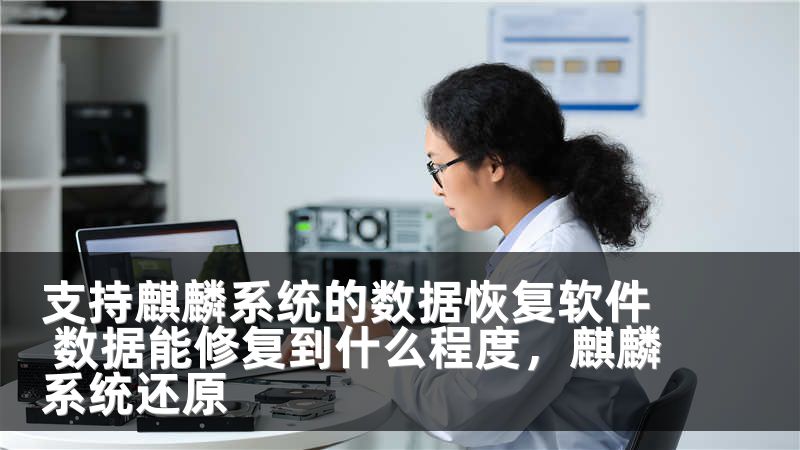 支持麒麟系统的数据恢复软件 数据能修复到什么程度，麒麟系统还原