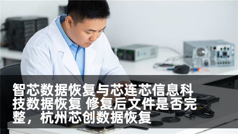 智芯数据恢复与芯连芯信息科技数据恢复 修复后文件是否完整，杭州芯创数据恢复