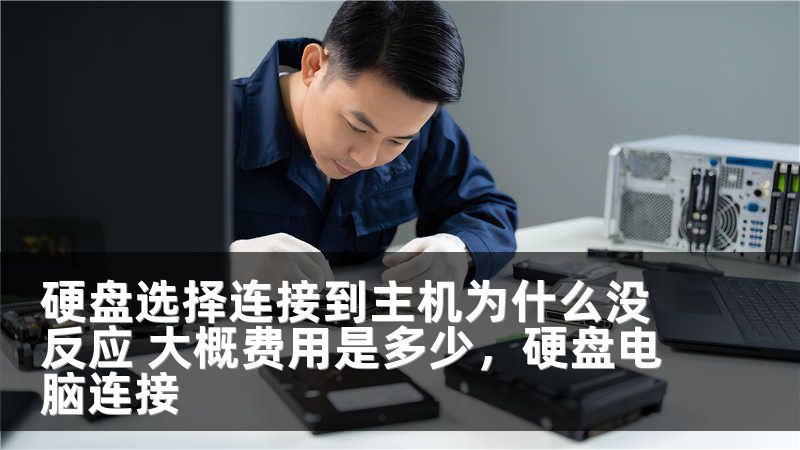硬盘选择连接到主机为什么没反应 大概费用是多少，硬盘电脑连接