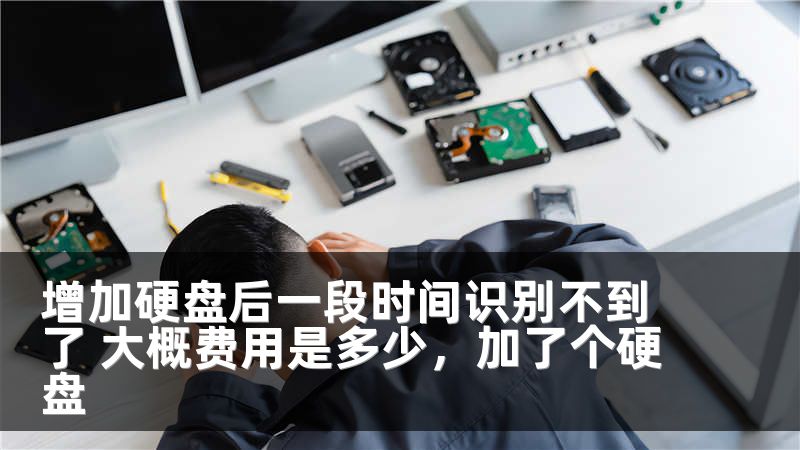 增加硬盘后一段时间识别不到了 大概费用是多少，加了个硬盘