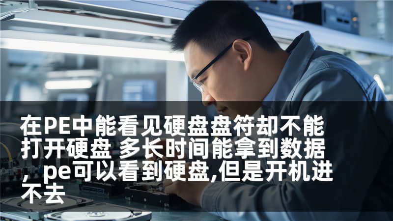 在PE中能看见硬盘盘符却不能打开硬盘 多长时间能拿到数据，pe可以看到硬盘,但是开机进不去