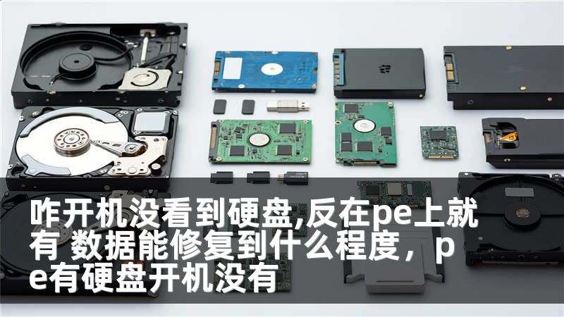 咋开机没看到硬盘,反在pe上就有 数据能修复到什么程度，pe有硬盘开机没有