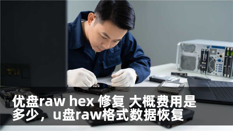 优盘raw hex 修复 大概费用是多少，u盘raw格式数据恢复