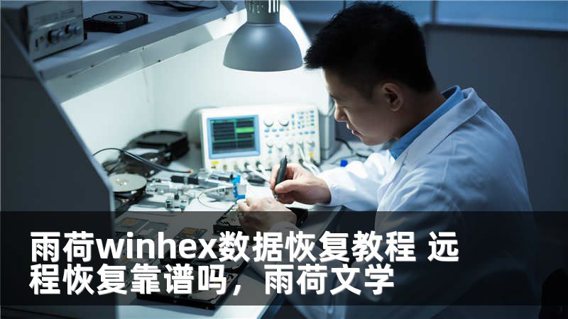 雨荷winhex数据恢复教程 远程恢复靠谱吗，雨荷文学