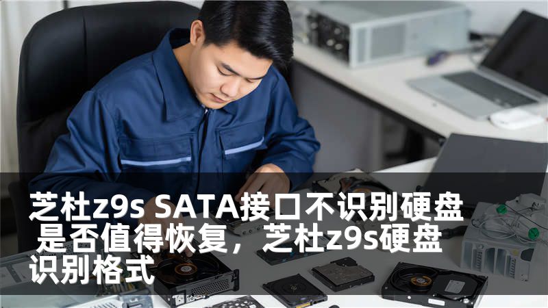 芝杜z9s SATA接口不识别硬盘 是否值得恢复,芝杜z9s硬盘识别格式