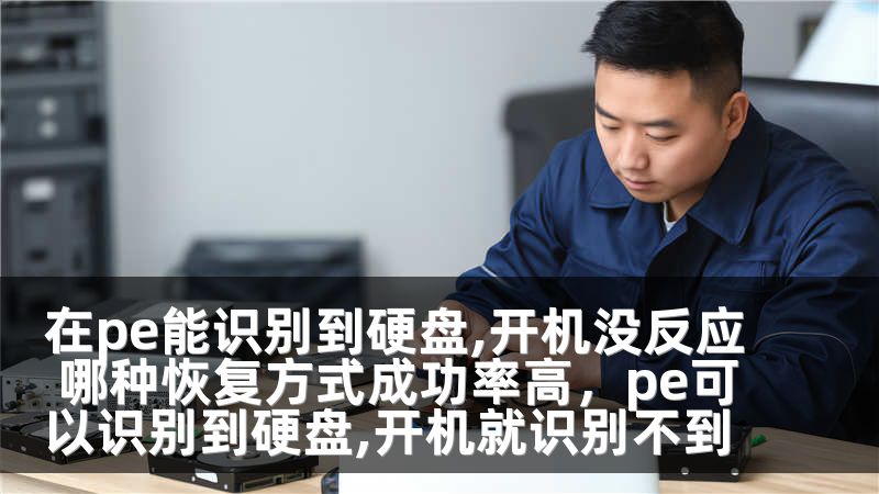 在pe能识别到硬盘,开机没反应 哪种恢复方式成功率高，pe可以识别到硬盘,开机就识别不到