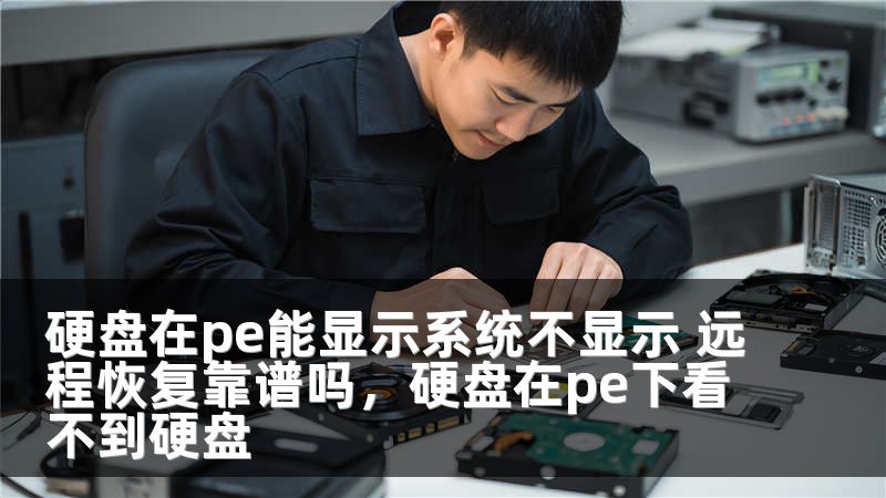 硬盘在pe能显示系统不显示 远程恢复靠谱吗，硬盘在pe下看不到硬盘