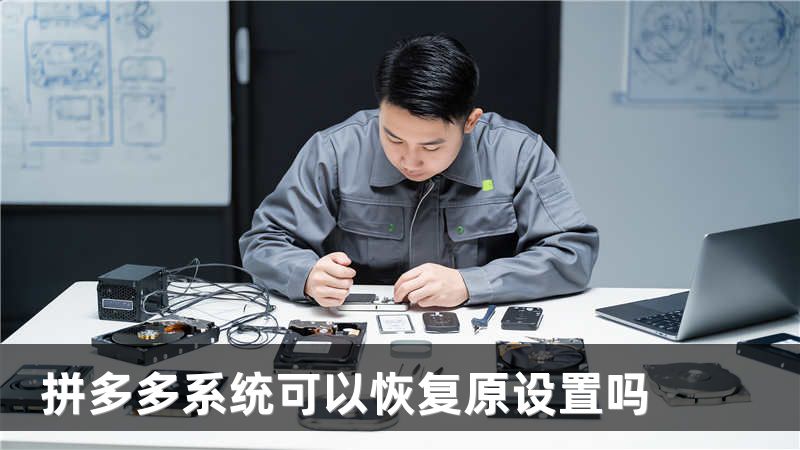 拼多多系统可以恢复原设置吗