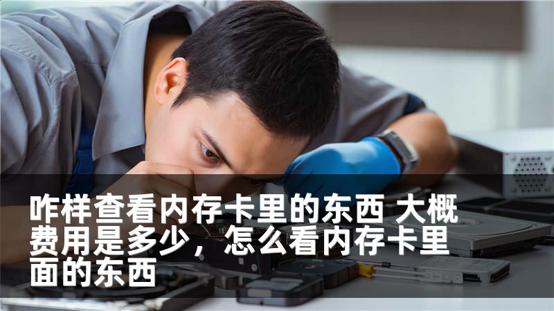 咋样查看内存卡里的东西 大概费用是多少，怎么看内存卡里面的东西