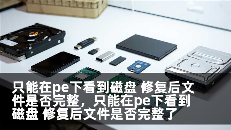 只能在pe下看到磁盘 修复后文件是否完整，只能在pe下看到磁盘 修复后文件是否完整了
