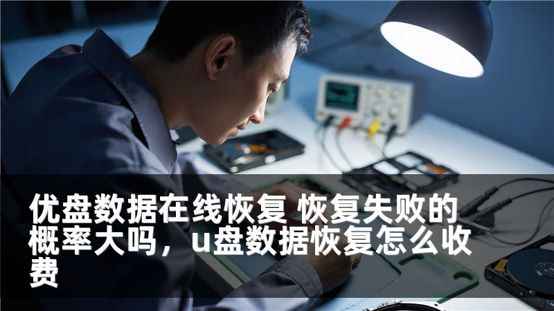 优盘数据在线恢复 恢复失败的概率大吗，u盘数据恢复怎么收费
