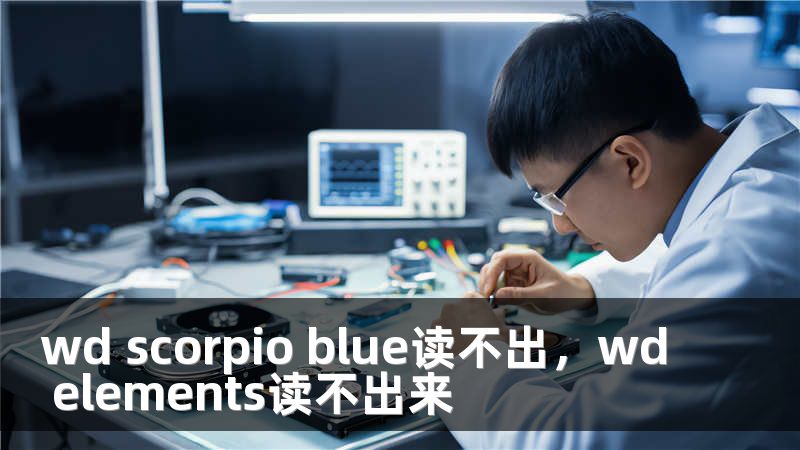 wd scorpio blue读不出,wd elements读不出来
