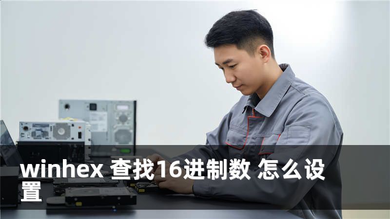 winhex 查找16进制数 怎么设置