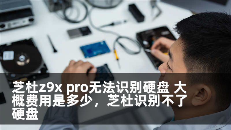 芝杜z9x pro无法识别硬盘 大概费用是多少，芝杜识别不了硬盘