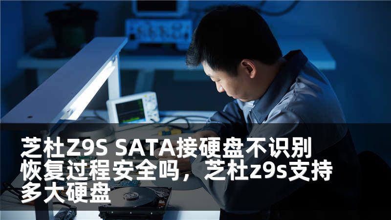 芝杜Z9S SATA接硬盘不识别 恢复过程安全吗，芝杜z9s支持多大硬盘