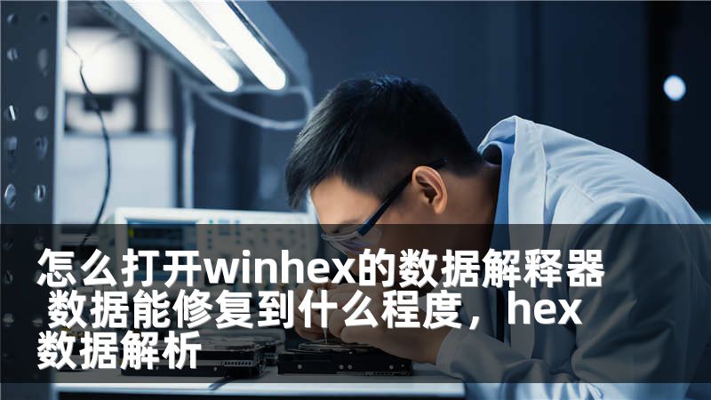 怎么打开winhex的数据解释器 数据能修复到什么程度,hex数据解析