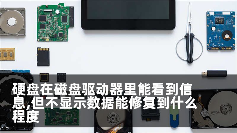 硬盘在磁盘驱动器里能看到信息,但不显示数据能修复到什么程度