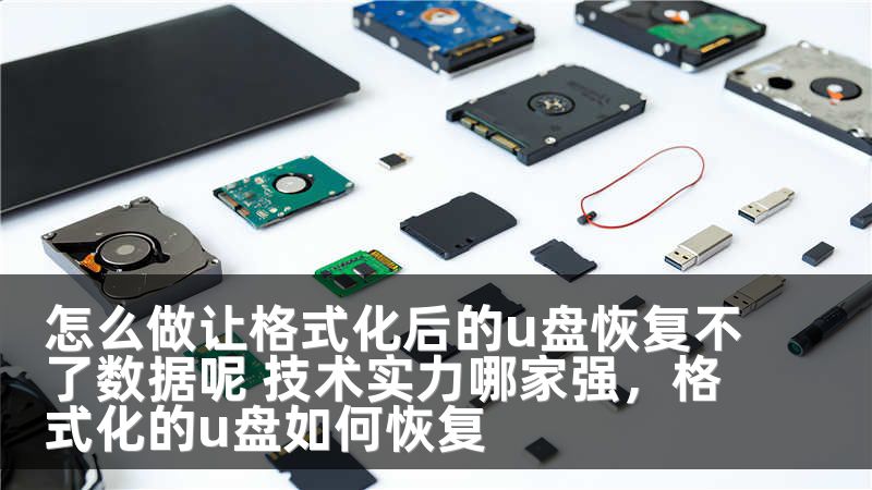 怎么做让格式化后的u盘恢复不了数据呢 技术实力哪家强,格式化的u盘如何恢复