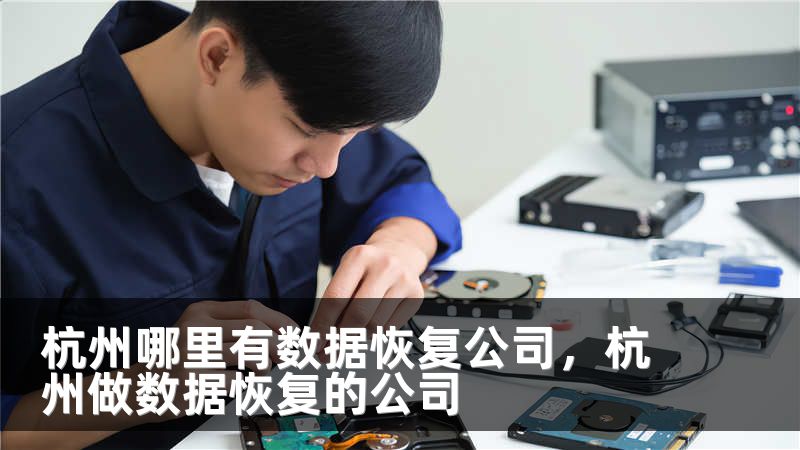 杭州哪里有数据恢复公司，杭州做数据恢复的公司