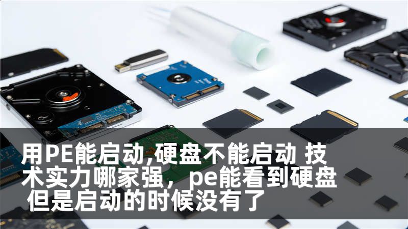 用PE能启动,硬盘不能启动 技术实力哪家强，pe能看到硬盘 但是启动的时候没有了