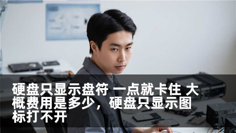 硬盘只显示盘符 一点就卡住 大概费用是多少，硬盘只显示图标打不开