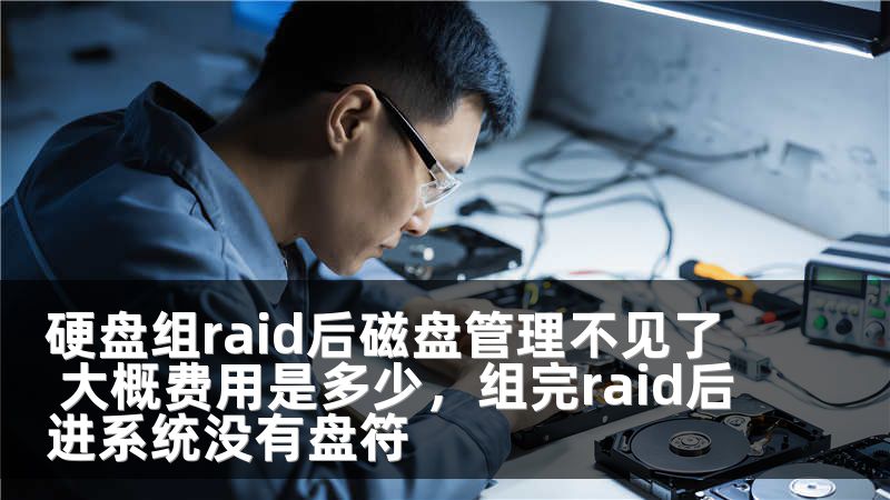 硬盘组raid后磁盘管理不见了 大概费用是多少，组完raid后进系统没有盘符