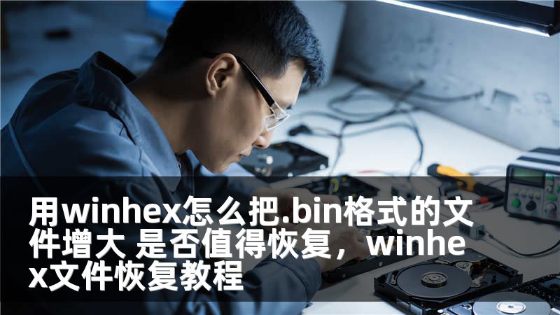 用winhex怎么把.bin格式的文件增大 是否值得恢复，winhex文件恢复教程