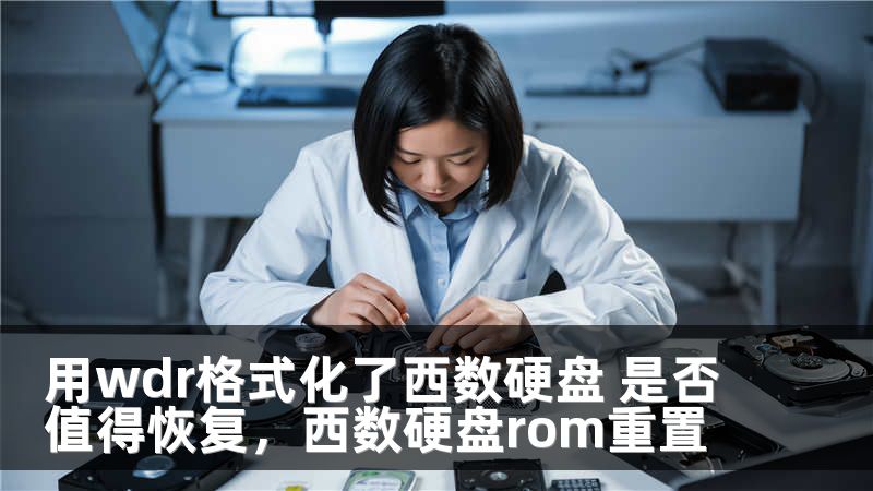 用wdr格式化了西数硬盘 是否值得恢复，西数硬盘rom重置
