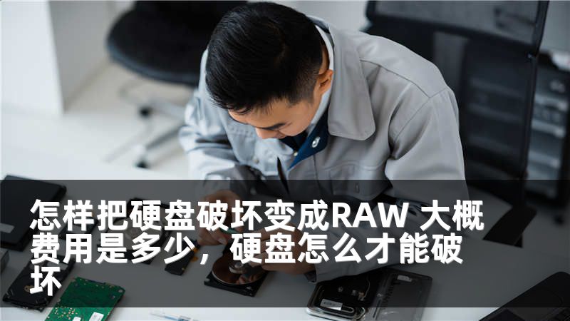 怎样把硬盘破坏变成RAW 大概费用是多少,硬盘怎么才能破坏