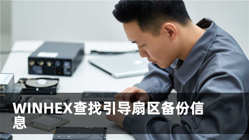 WINHEX查找引导扇区备份信息